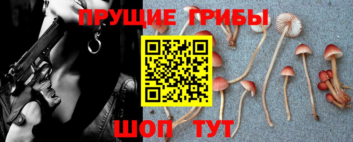 Псилоцибиновые грибы GOLDEN TEACHER Бутурлиновка