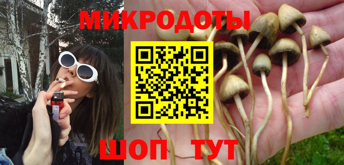Псилоцибиновые грибы Cubensis  Галлюциногенные грибы ЛСД  Вход с VPN  Бутурлиновка 